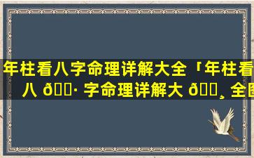 年柱看八字命理详解大全「年柱看八 🌷 字命理详解大 🕸 全图」